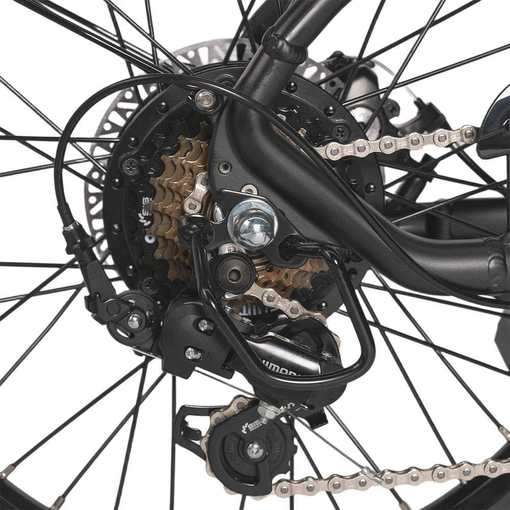 JOBOBIKE Ace Electric Bike