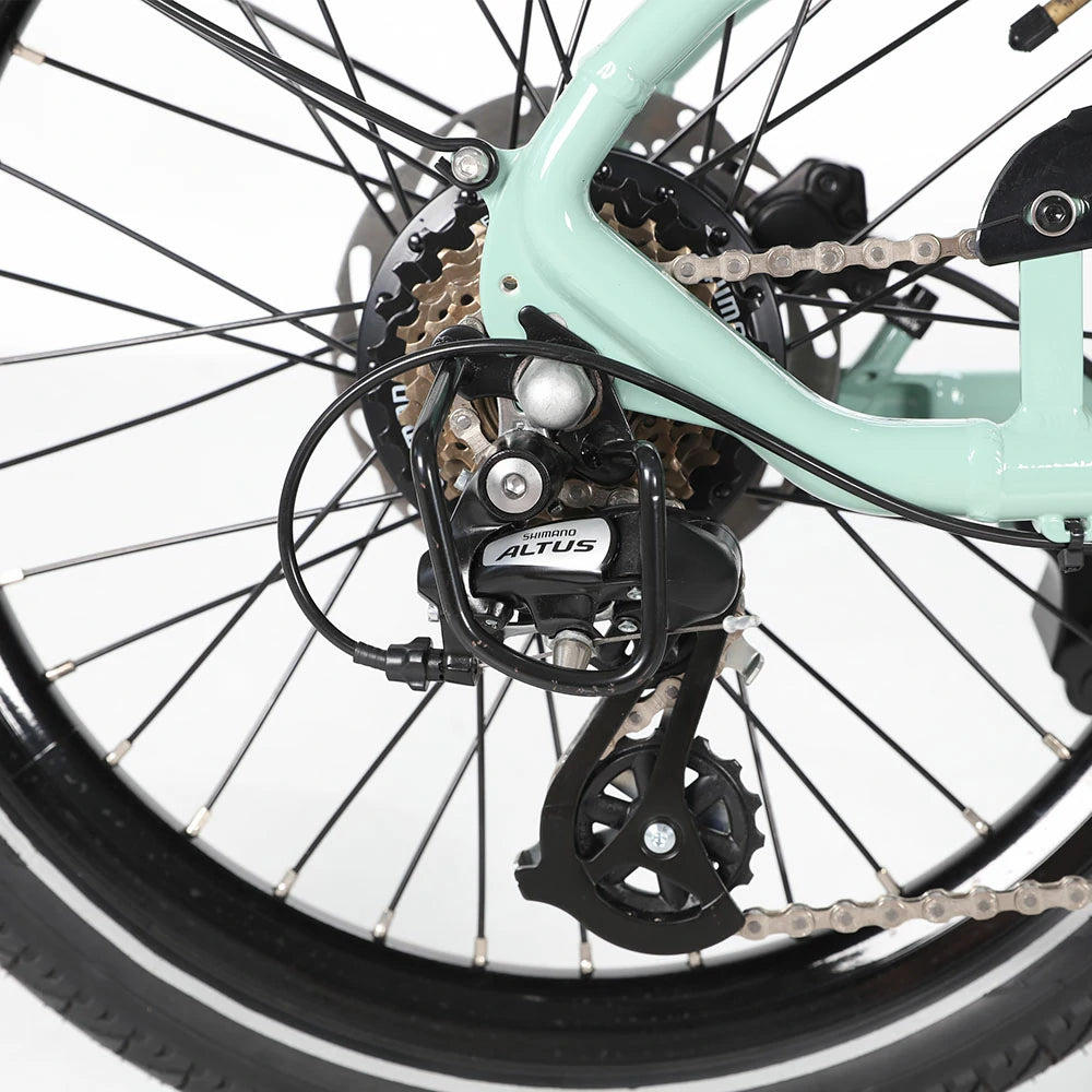 JOBOBIKE Ace  Pro Electric Bike