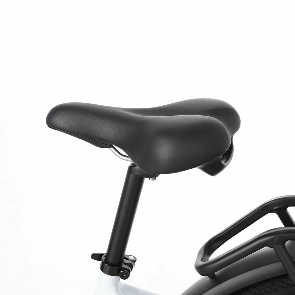 JOBOBIKE Luxe Electric Bike