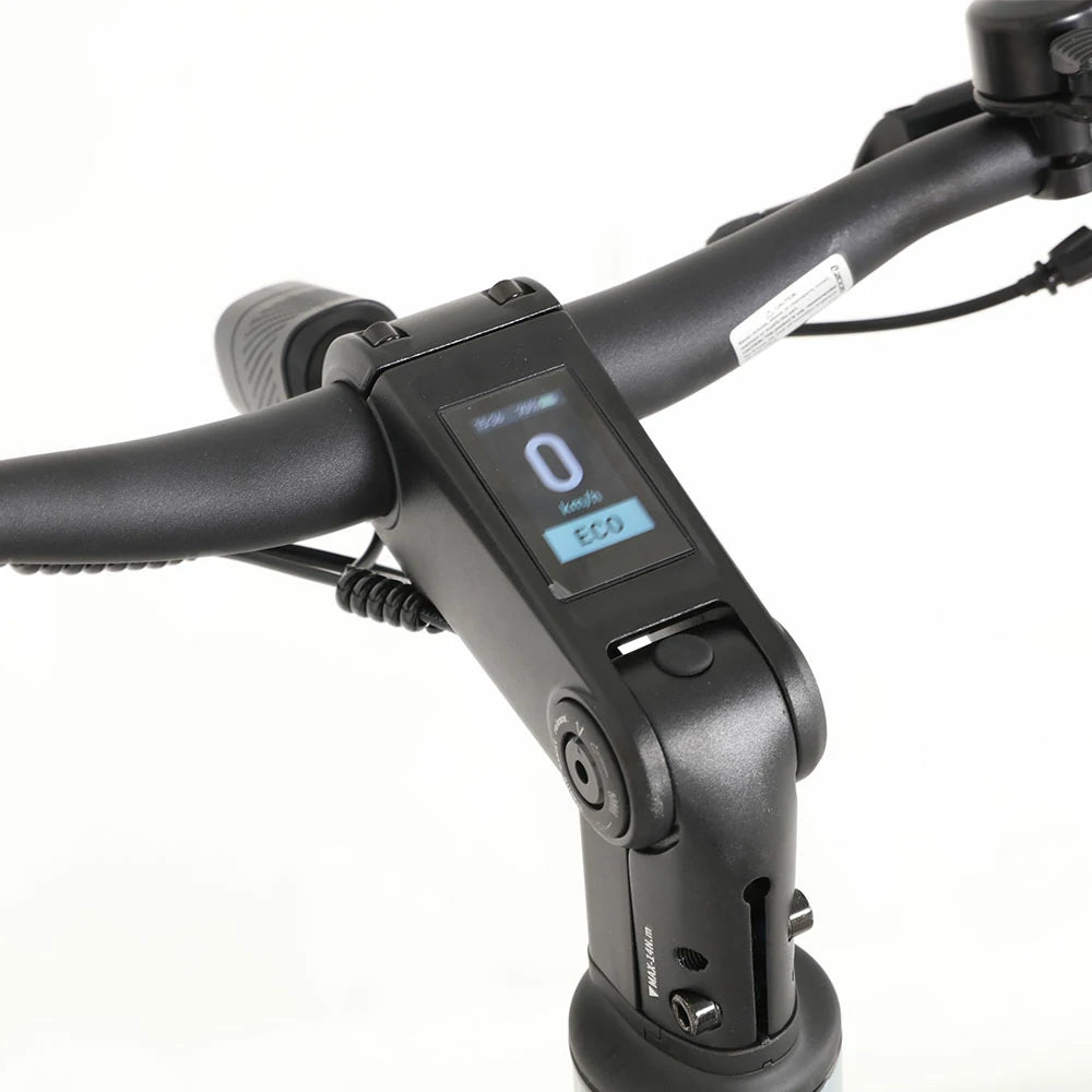 JOBOBIKE Luxe Electric Bike