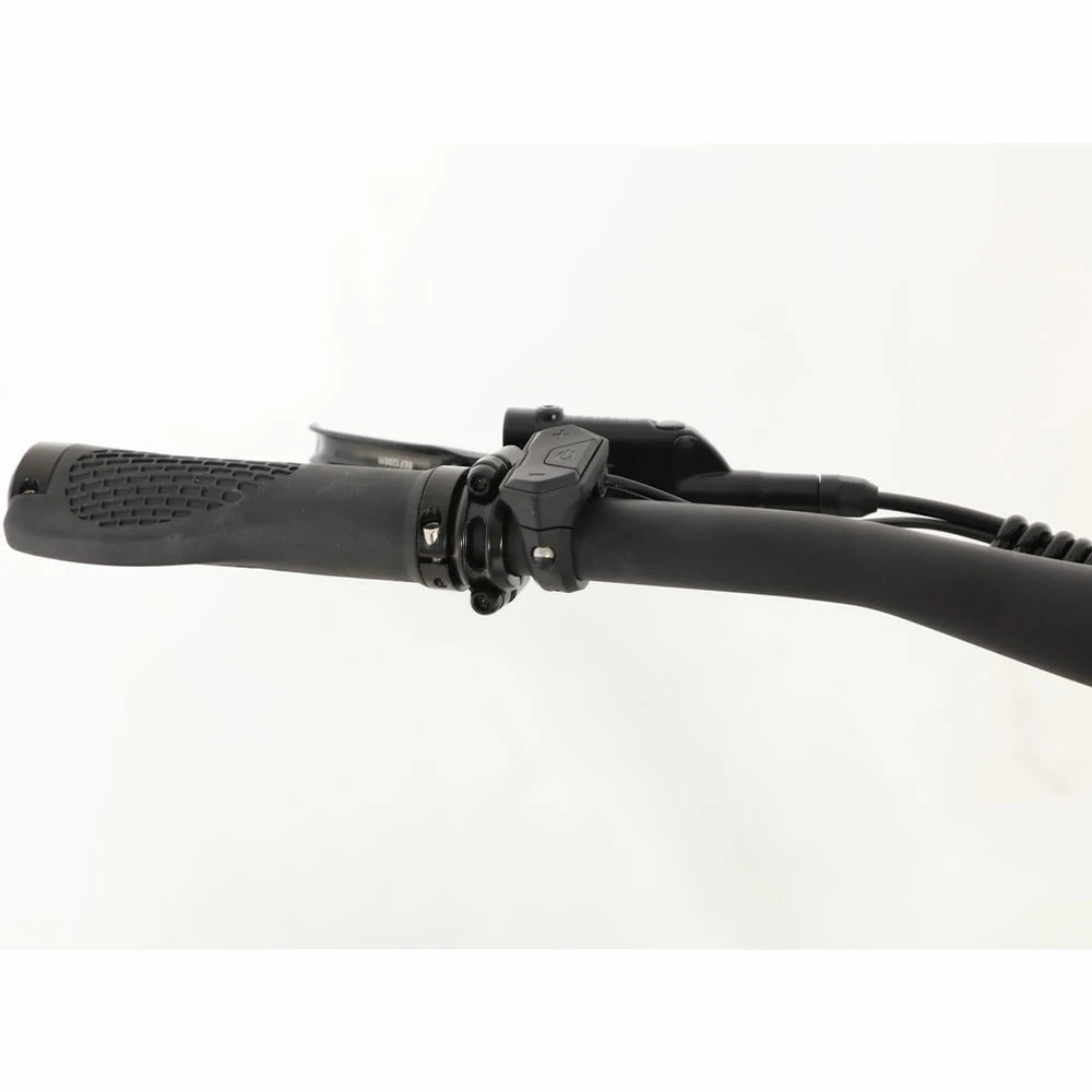 JOBOBIKE Luxe Electric Bike